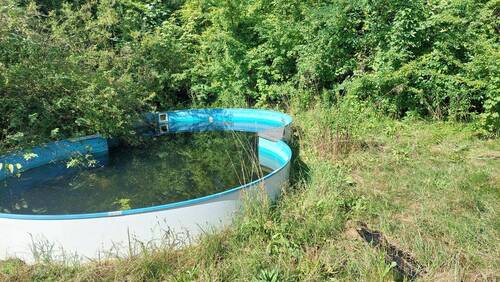 20250806_101434.jpg - Grundstück in Rehfelde