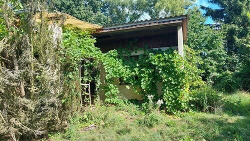 20250806_101443.jpg - Grundstück in Rehfelde zum Kaufen