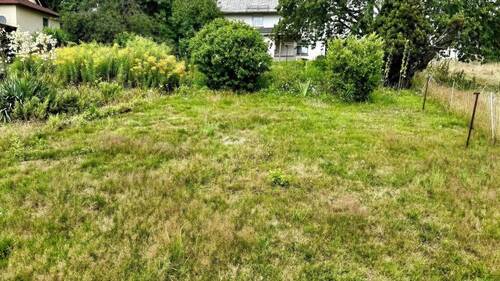 Blick in den Garten - 