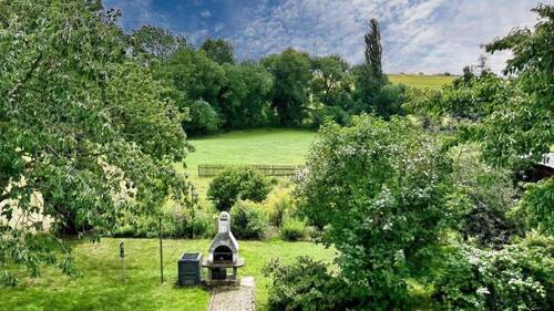 Blick in den Garten - 