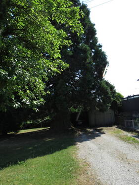 Zufahrt Schuppen - 