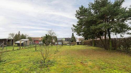 Ihr großer Garten - 