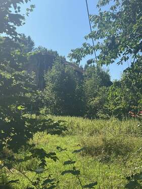 Bild 3 - Grundstück in Wadern