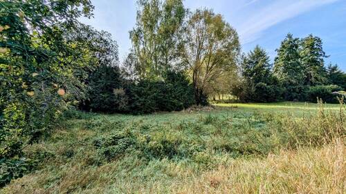 Bild - Attraktive Gelegenheit! - Baugrundstück in Zellingen - schöne Lage & ideale Infrastruktur für Familien