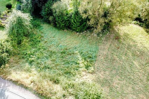 Blick von Oben - Grundstück zum Kaufen in Zellingen