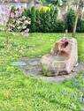 Bild 12 - 