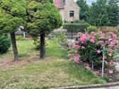 Bild 24 - 