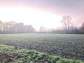 Umgebung - 