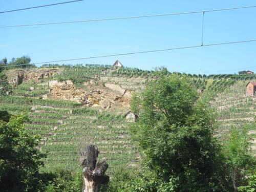 herrlicher Weinbergblick im Winter - 