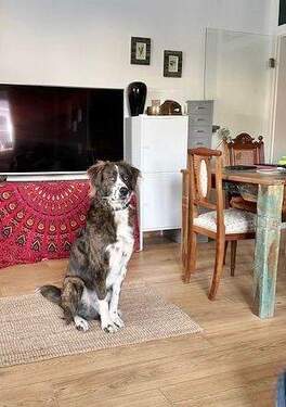 Bewachtes Wohnen... - 2 Zimmer Etagenwohnung in Hadamar