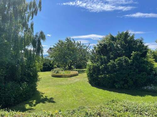 Bild3 - 6 Zimmer Einfamilienhaus in Schauenburg