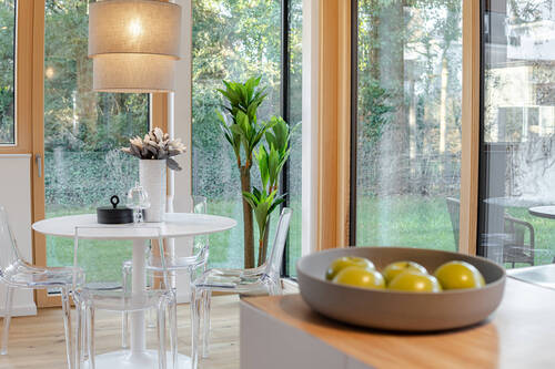 lichtdurchfluteter Essbereich - 