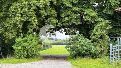 332.Einfahrt - 
