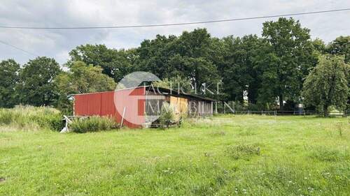 332.Schuppen - 