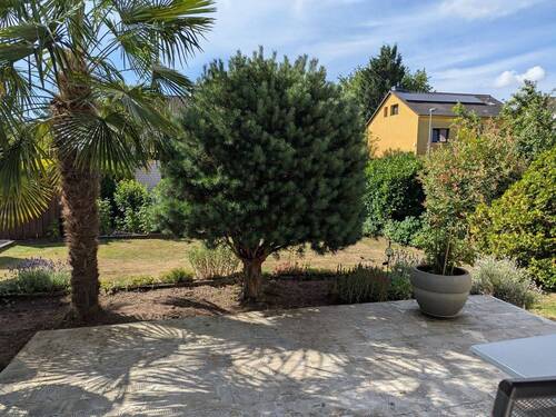 EG Terrasse - 