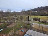 Blick in Brenzpark - 