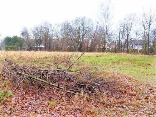 Grundstücksansicht - Grundstück in Dargun zum Kaufen