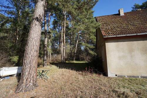 Grundstück Westseite (1).jpg - 