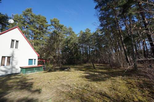 Grundstück Südseite (3).jpg - Ein kleinen Siedlungshaus auf schönem großen Grundstück