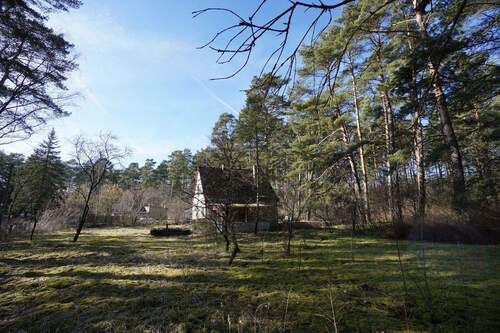 Grundstück Ostseite (5).jpg - 