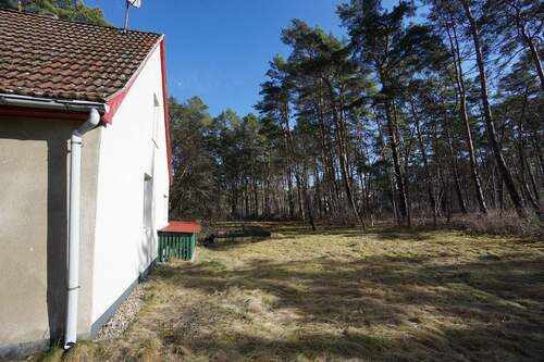 Grundstück Südseite (1).jpg - 