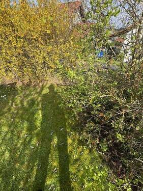14 Gartengrenze - 