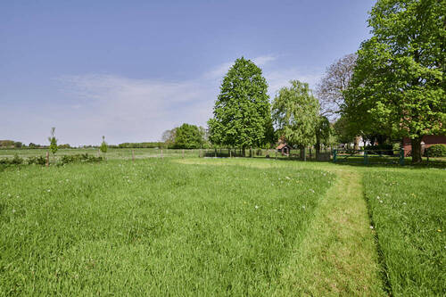 das weitläufige Grundstück - 