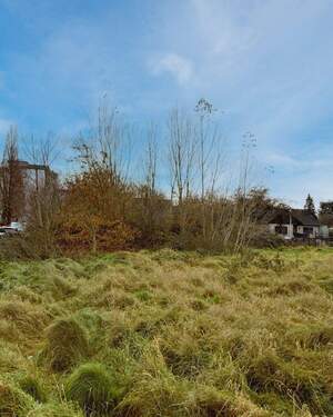 Ansicht Bild 2 - Grundstück zum Kaufen in Eschweiler