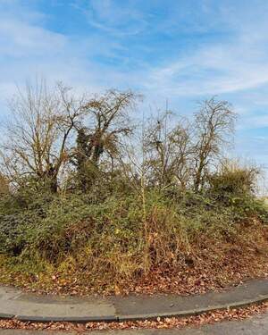 Ansicht Bild 3 - Grundstück in Eschweiler