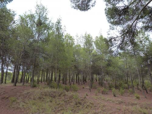 Bild 30 - 