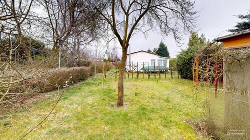 Blick in den Garten - 