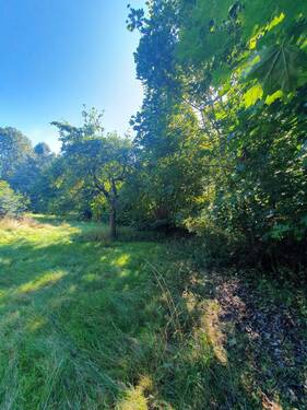 Garten - 