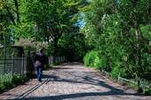 Volkspark_April2024_ASE_5588 - 