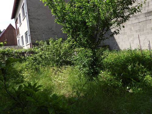 DSCN6453.JPG - 