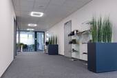 Großzügige Flächen - Büro in Friedrichshafen