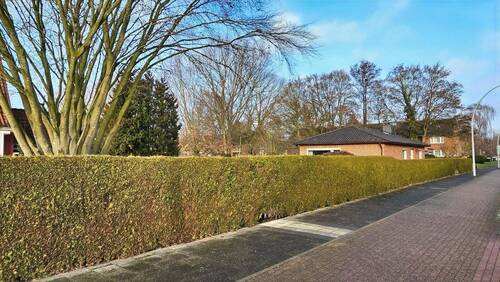 Süd-SÜDOST mit Straßenhecke - 