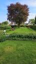 großer Süd-Garten - 