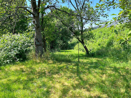 Garten - 