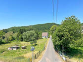 Blick zur Straße - 