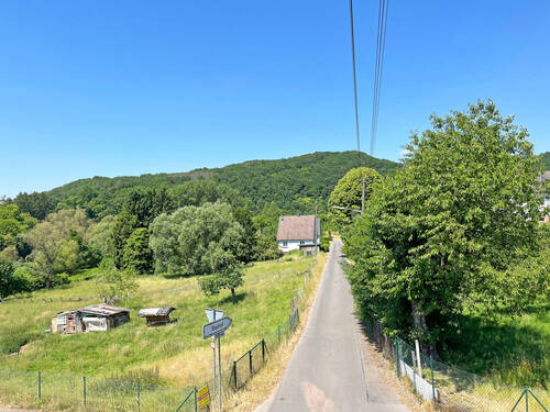 Blick zur Straße - 