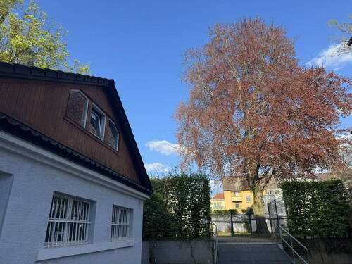 Abstellraum für Fahrräder - 