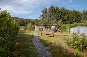 Der gepflegte Garten - 