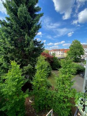 Ausblick vom Balkon - 