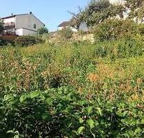 Bau Grund mit Weitsicht in Stadtlage - Treuchtlingen