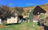 Kleines Weingut am Kaiserstuhl - Kl. Weingut Vogtsburg-Bickensohl-Breisach + Wohnhs + Scheune + 2Rebterrassen + Löskeller + Sanierungskosten ca. 290T€ + hohes Steuersparen Denkmal