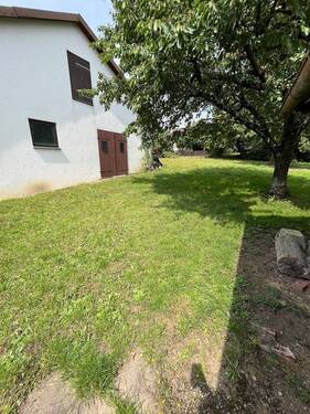 Bild 19 - 
