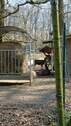 Tierpark bei Burg Wissem - 