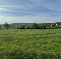 Herrliches Baugrundstück mit Blick ins Grüne! L- Echternach nur 15min! - Nusbaum