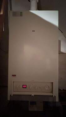 Gastherme ca. 10 Jahre alt - 