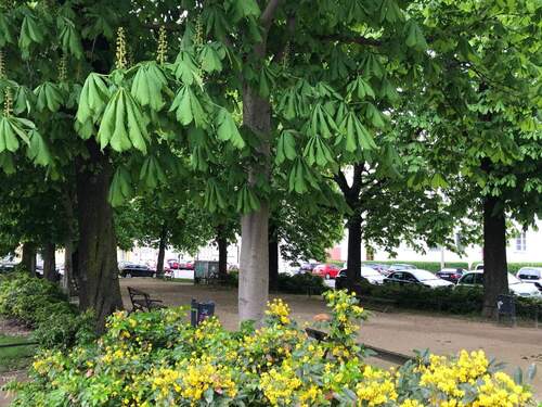 Park vorm Haus - Etagenwohnung mit 77,80 m² in Leipzig zum Kaufen